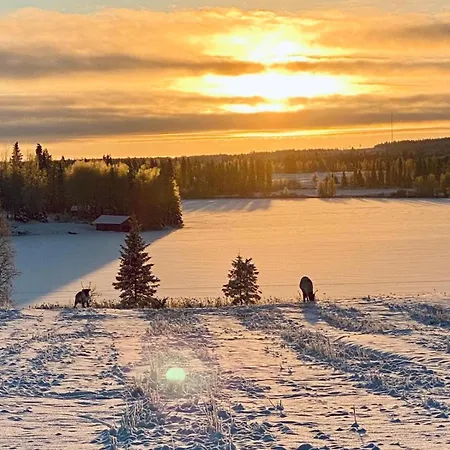 샬레 Saaren Keidas, Maaseudulla - Rukalle Alle 30min - An Island Oasis In The Countryside *
