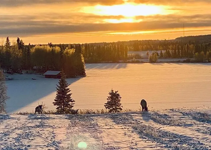 Шале Saaren Keidas, Maaseudulla - Rukalle Alle 30min - An Island Oasis In The Countryside *